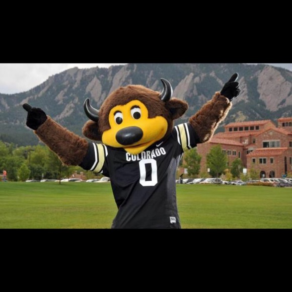 Meet your Posher, Charles - Picture 1 of 1